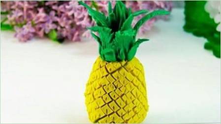 Hogyan lehet vak ananász a műanyagból?