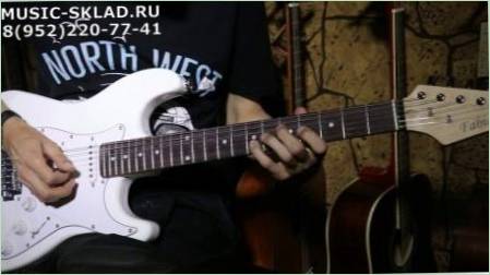 Áttekintés a fehér gitár
