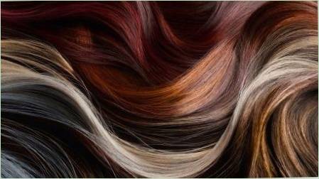 Wella hajfesték: vonalzó és paletta