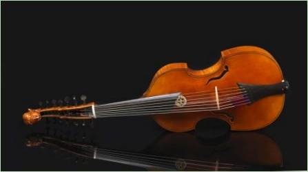 A Viola hangszerről szól