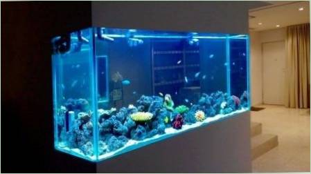 Kiszámítása üveg vastagsága akváriumi
