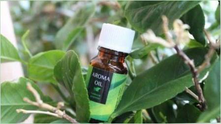 Akne tea fa olaj: tulajdonságok, opciók a választáshoz és használathoz