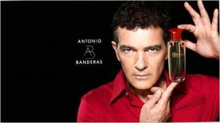 Antonio Banderas parfümjei