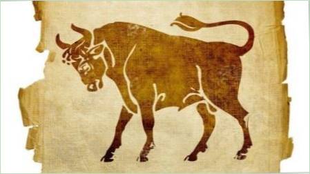 Bull év: A szimbólum jellemzői, dátumok és kompatibilitás