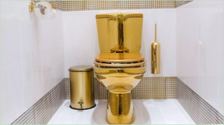 Arany WC: Hogyan válasszuk ki és kompetens belépni a belső térbe?