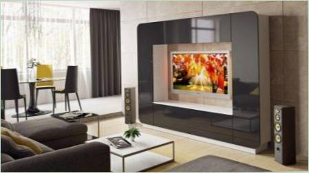 Nappali bútorok mellett TV: faj, a gyártók és tippek