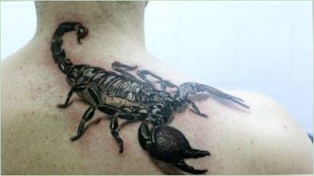 Mit csinálnak a tetoválást scorpionokkal és mi történnek?