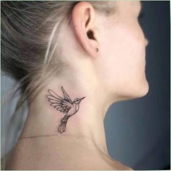 kolibri tattoo jelentése az