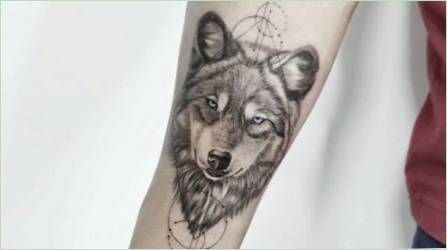 Tattoo Wolf : Érték és vázlatok