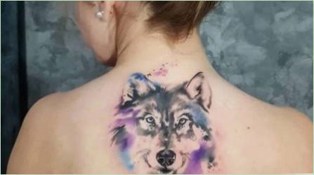 Tattoo Wolf lányok: jelenti, vázlatok