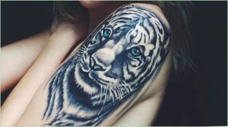 Tetoválás egy tigris a lányok számára